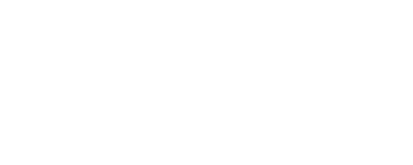 Audio MotorSports authorized ZZ-2 dealer