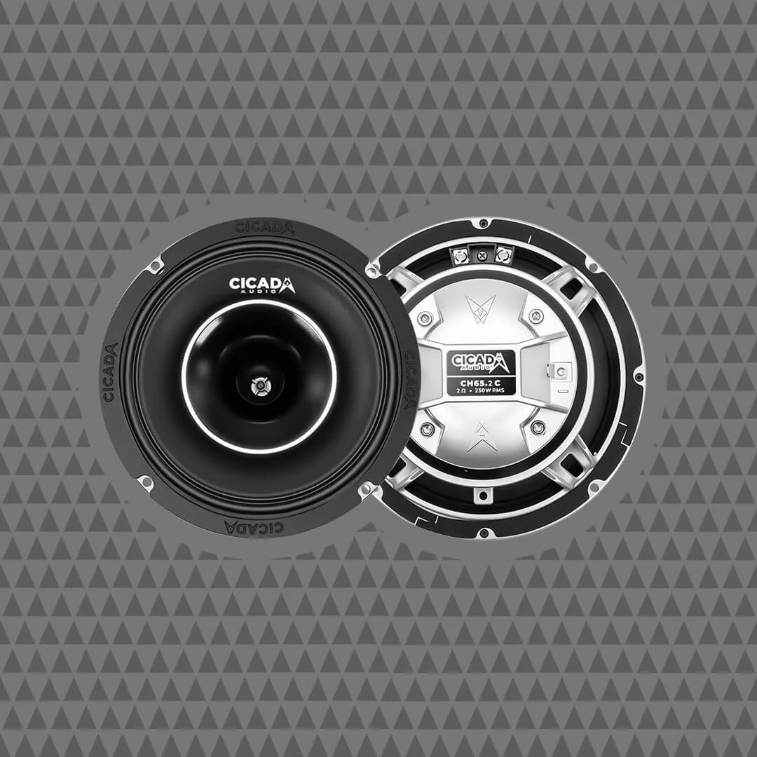Cicada CH65.C 6.5 inch horn speaker, front and back