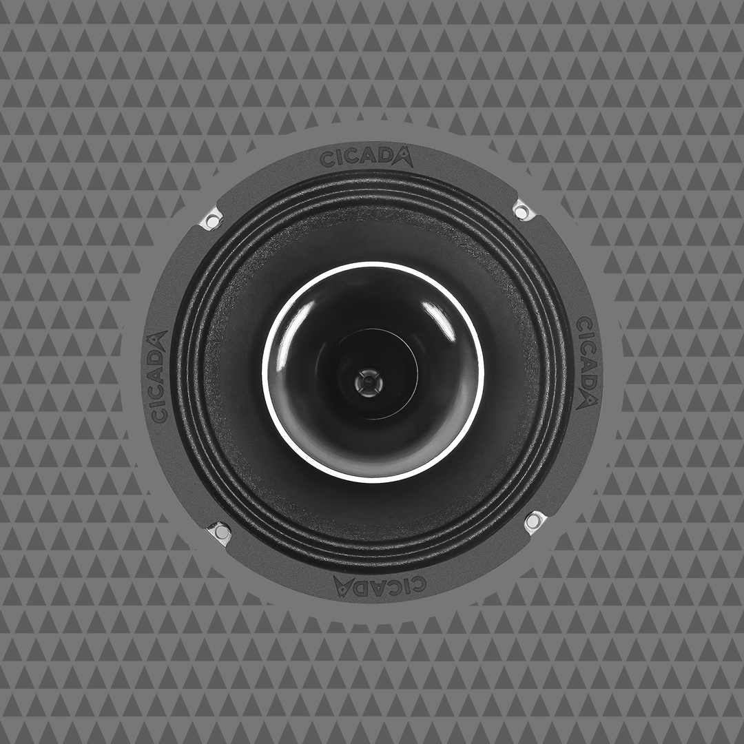 CH65.4 6.5 speaker