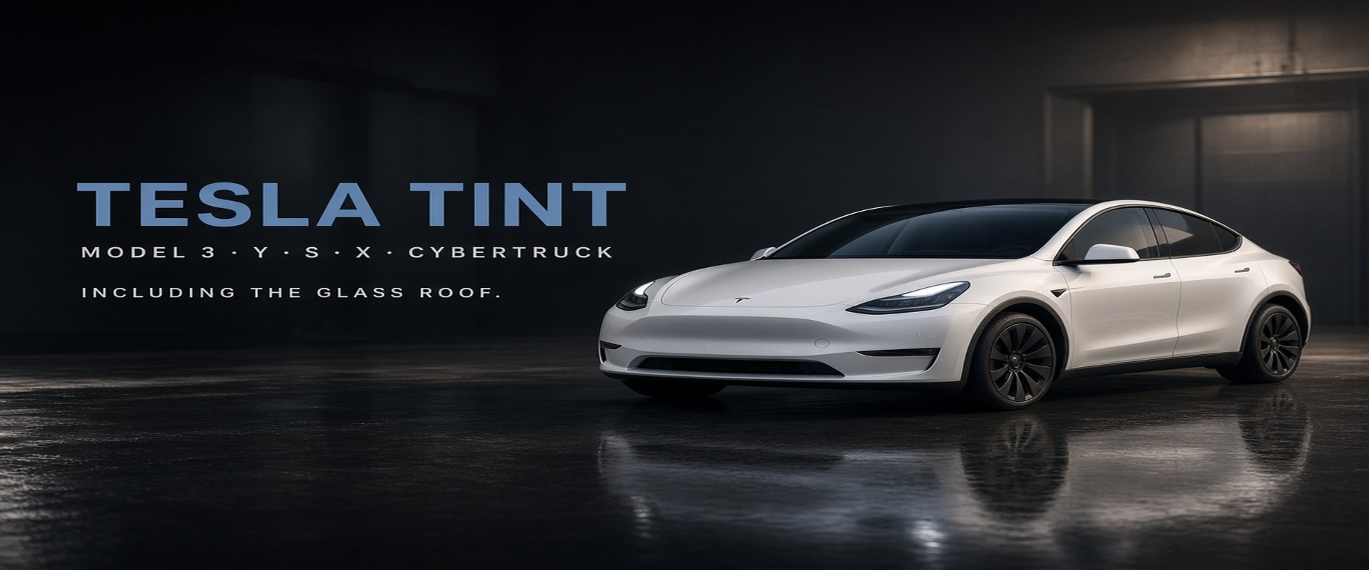 Polarizado para Tesla