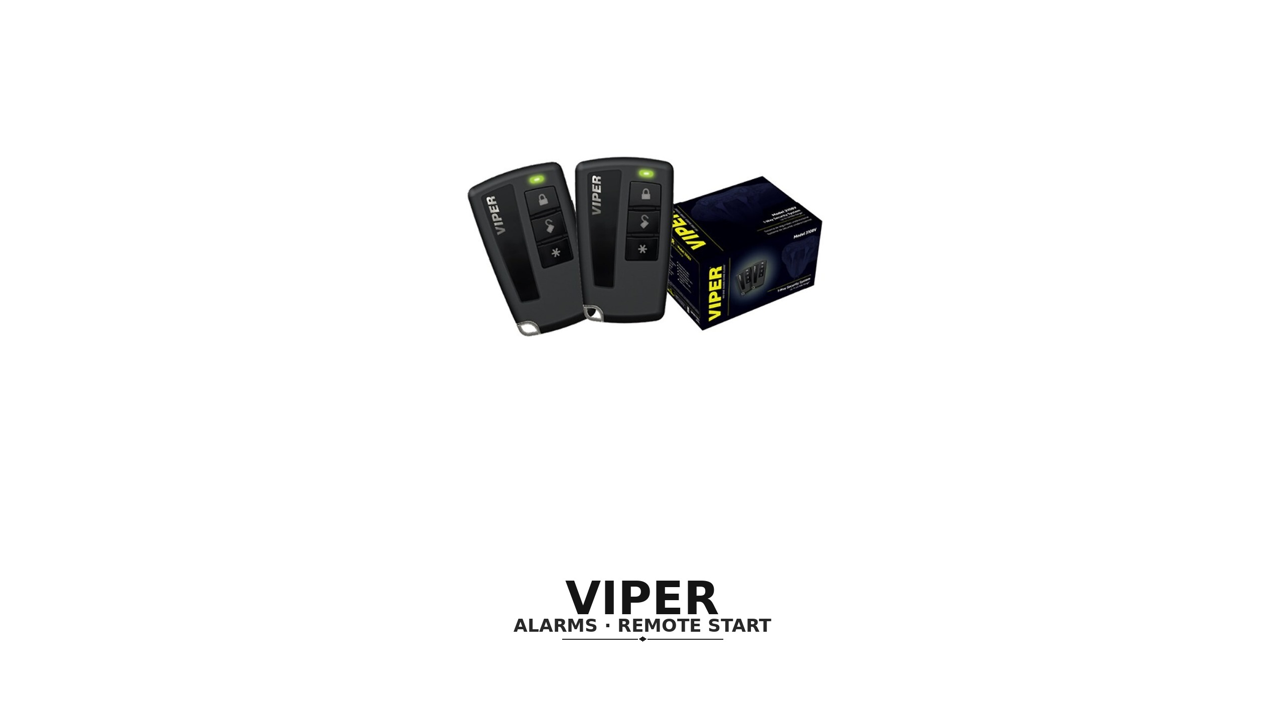 Viper at LA Car Alarm