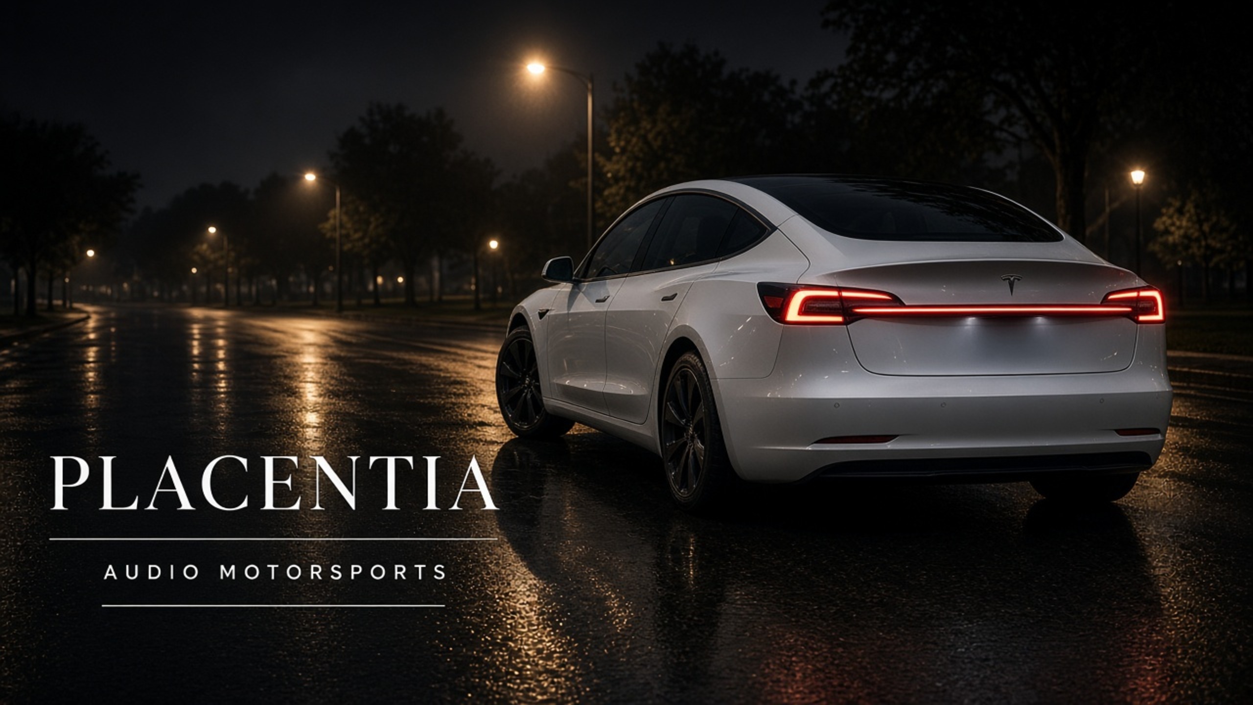 Tesla window tint for Placentia — Tesla Tint LA at Audio MotorSports on Avalon
