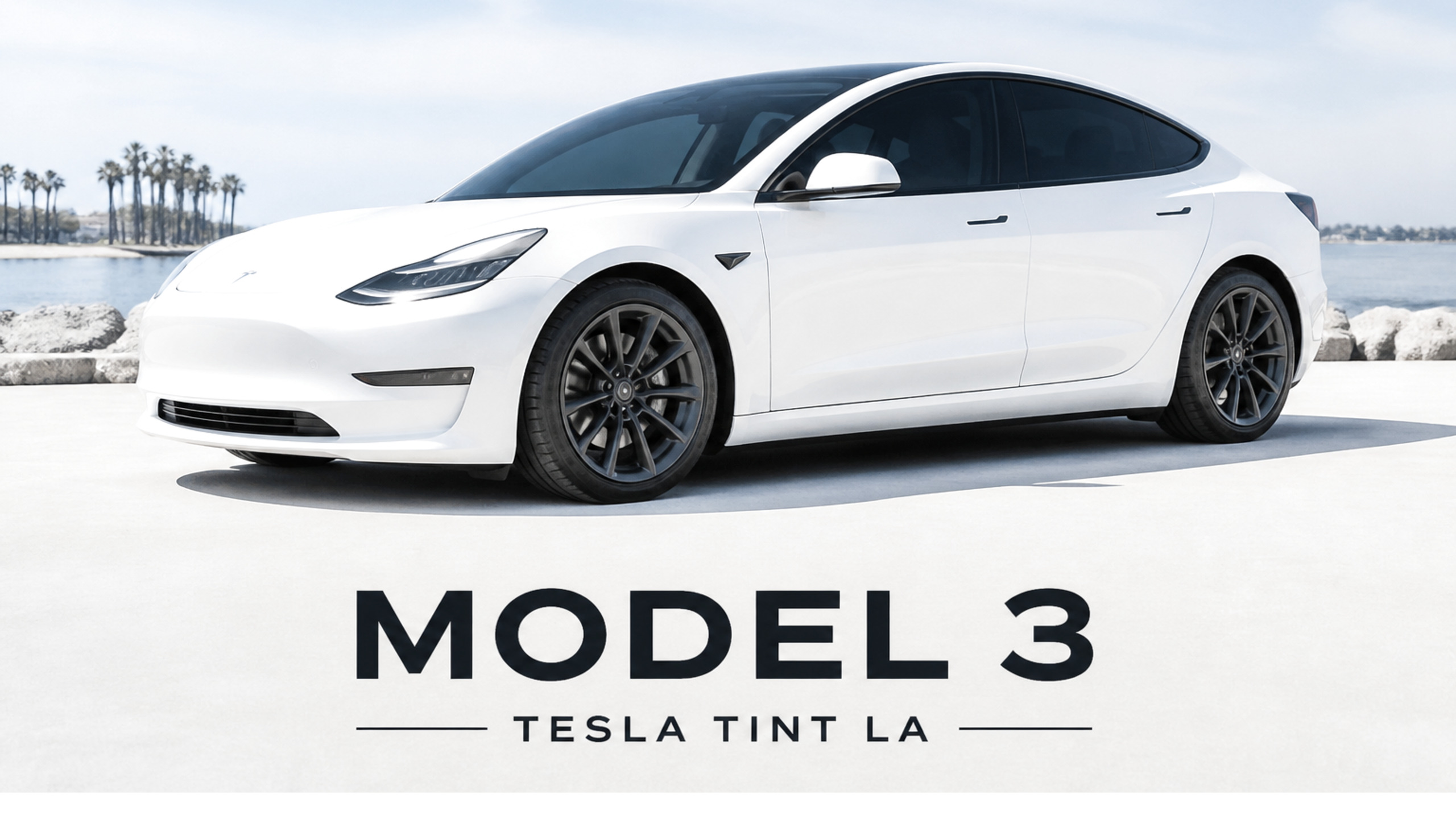 MODEL 3 — TESLA TINT LA