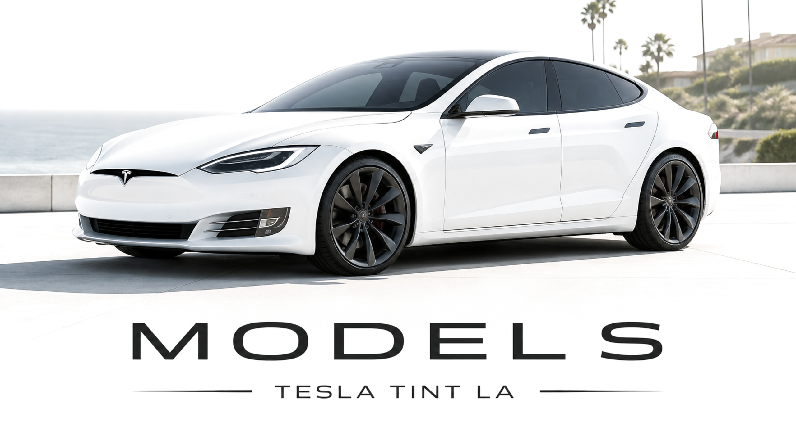 MODEL S — TESLA TINT LA