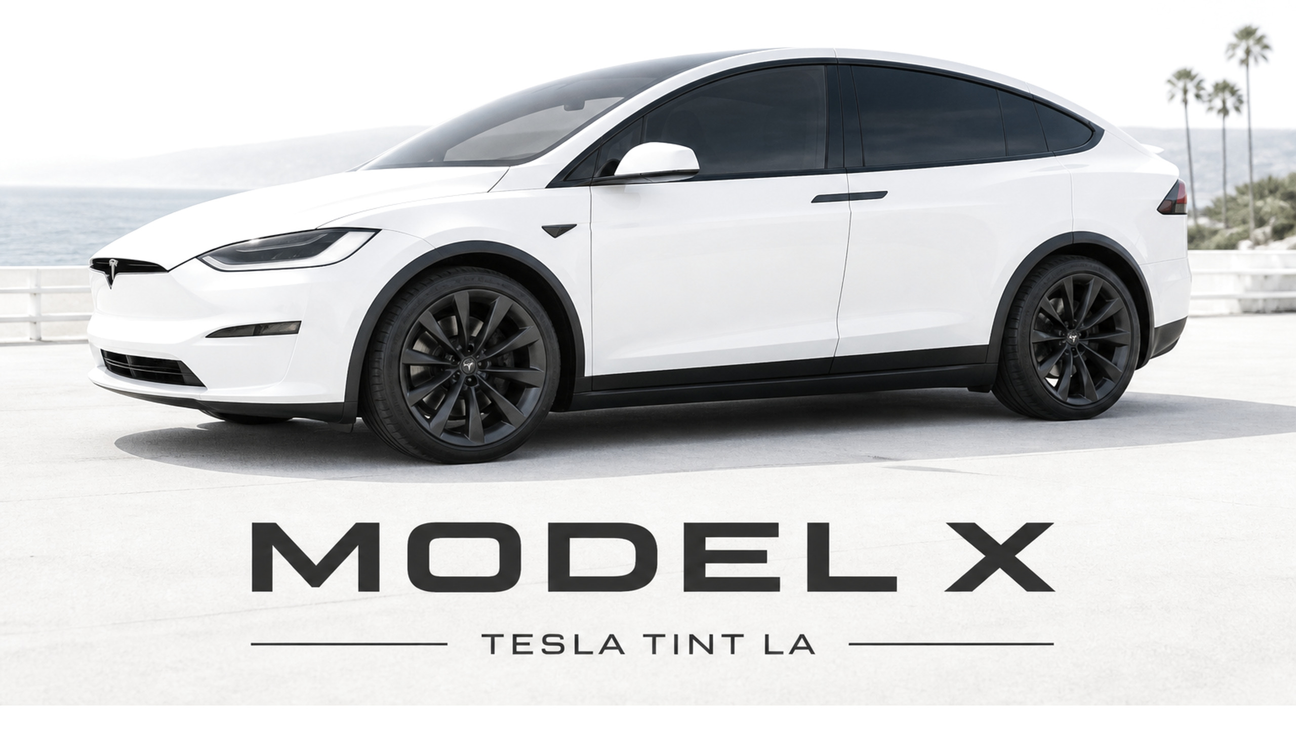 MODEL X — TESLA TINT LA