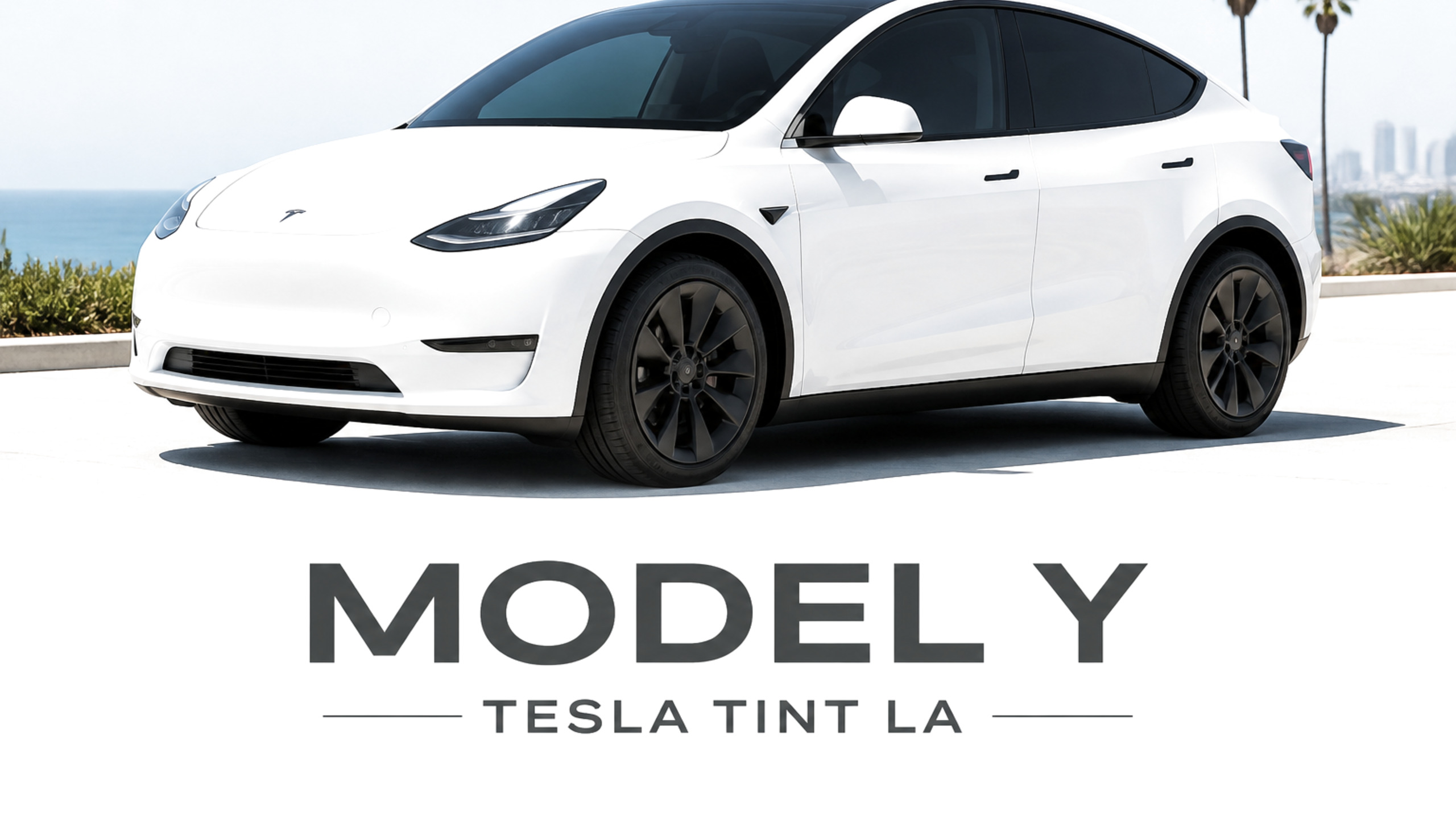 MODEL Y — TESLA TINT LA