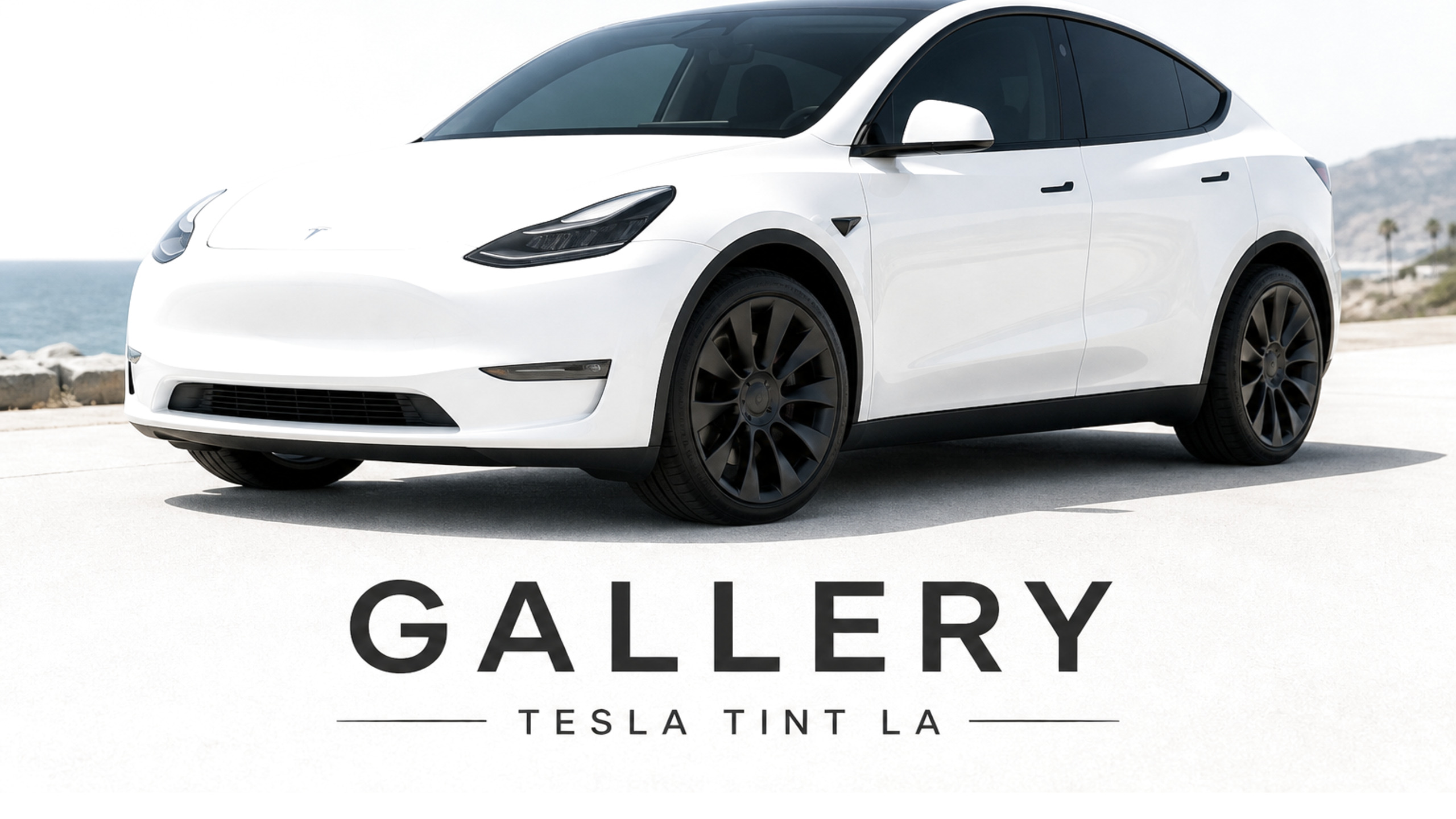 GALERÍA — TESLA TINT LA